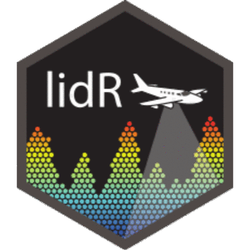 lidR image